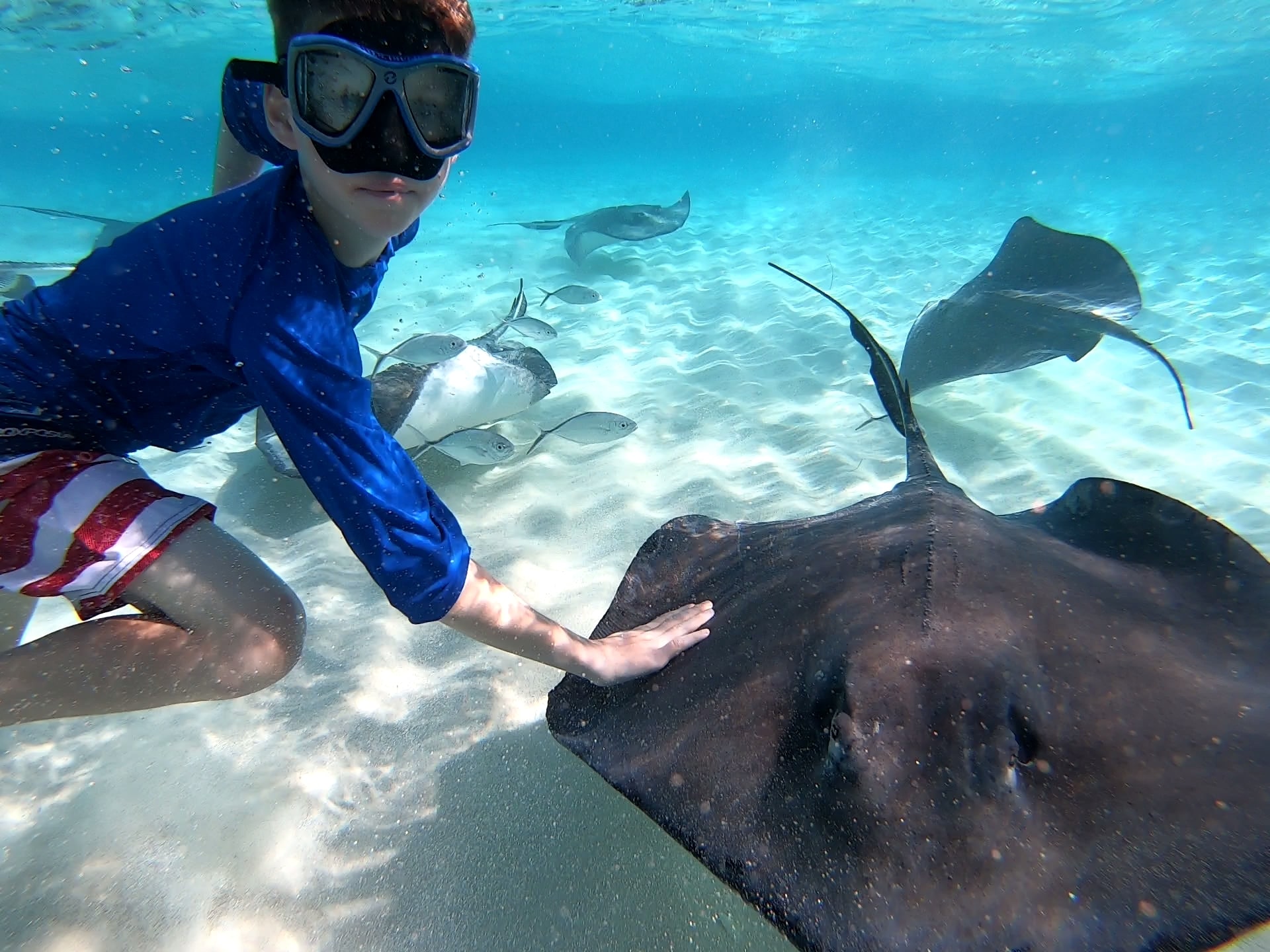 Cayman Snorkel Co