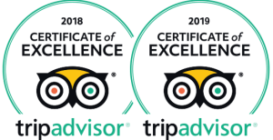 cayman snorkel co trip advisor awards