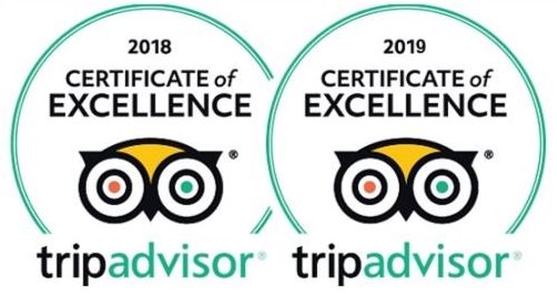 Cayman Snorkel Co trip advisor awards