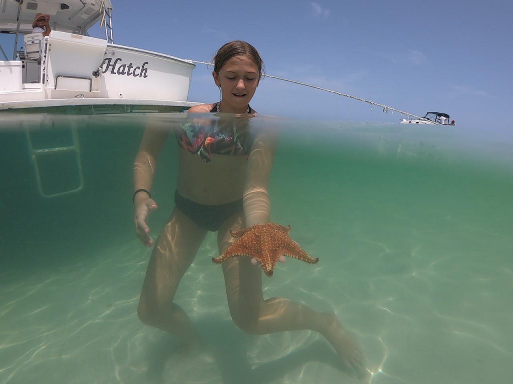 Cayman Snorkel starfish point