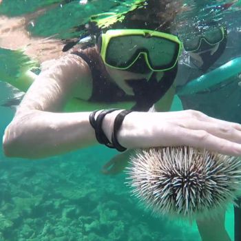 Coral Reef Snorkeling