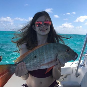 Reef Fishing snapper