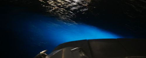 Bioluminsecent 1