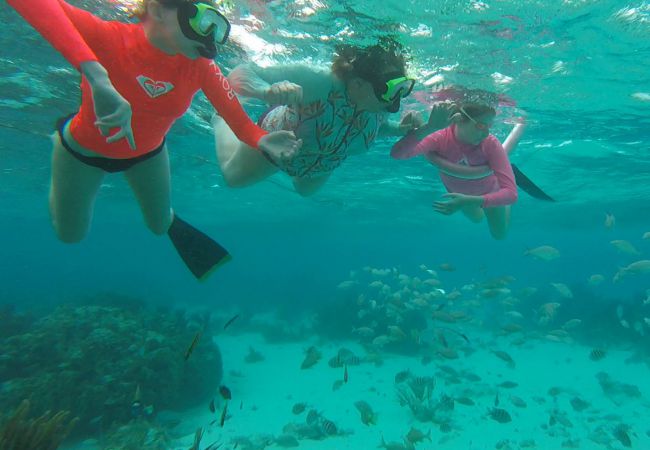Snorkeling 2