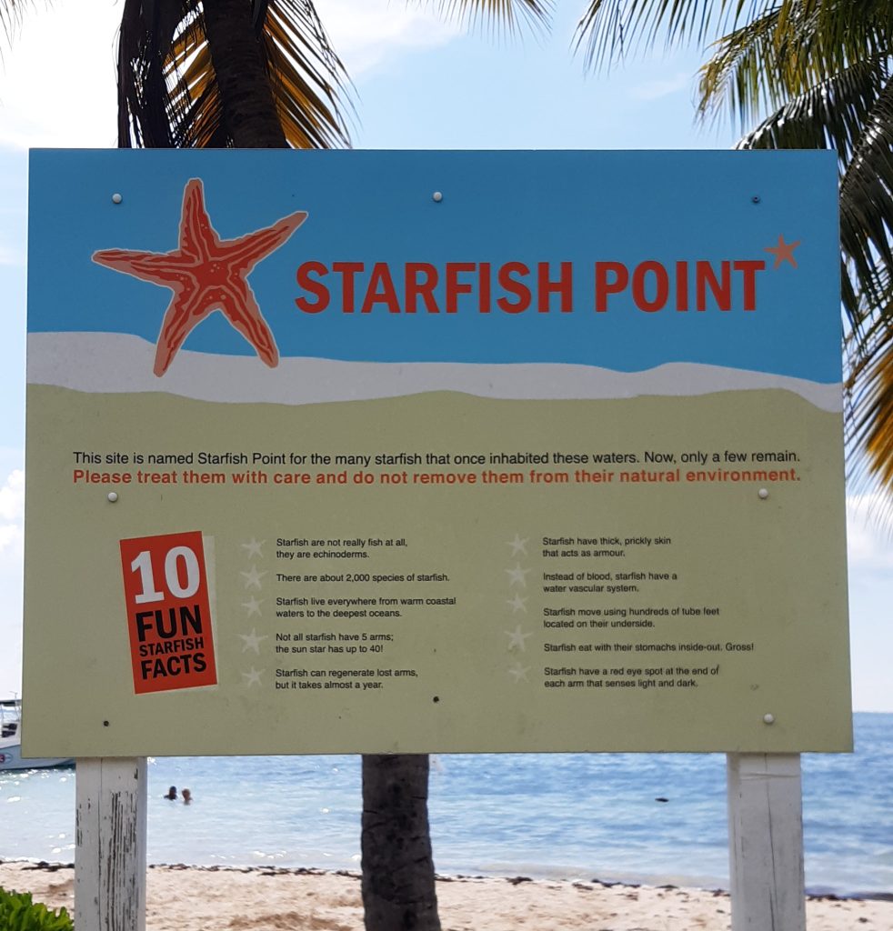 starfish point fun facts
