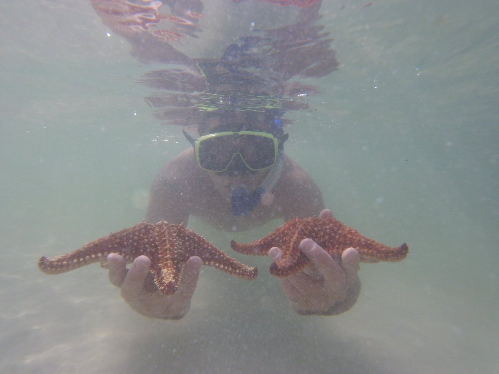 Captain Jason holding sea stars